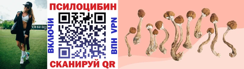 Псилоцибиновые грибы ЛСД  Южа 