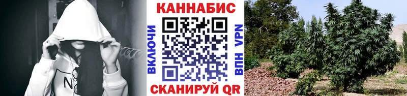 Шишки марихуана AK-47 закладки Южа